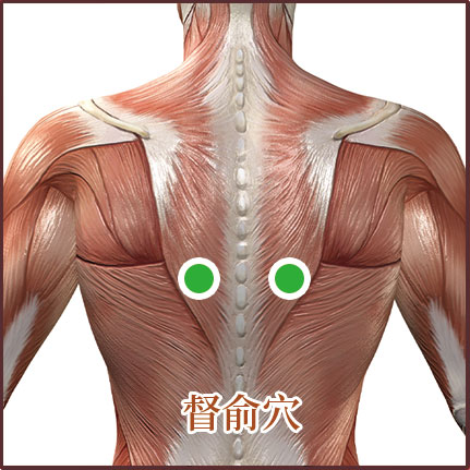 肺炎/老慢支貼敷位置示意圖