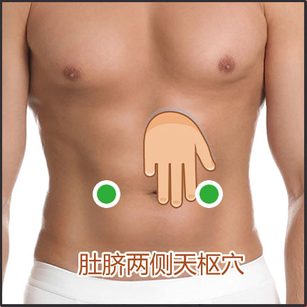 腸胃功能紊亂/腸易激綜合征貼敷位置示意圖